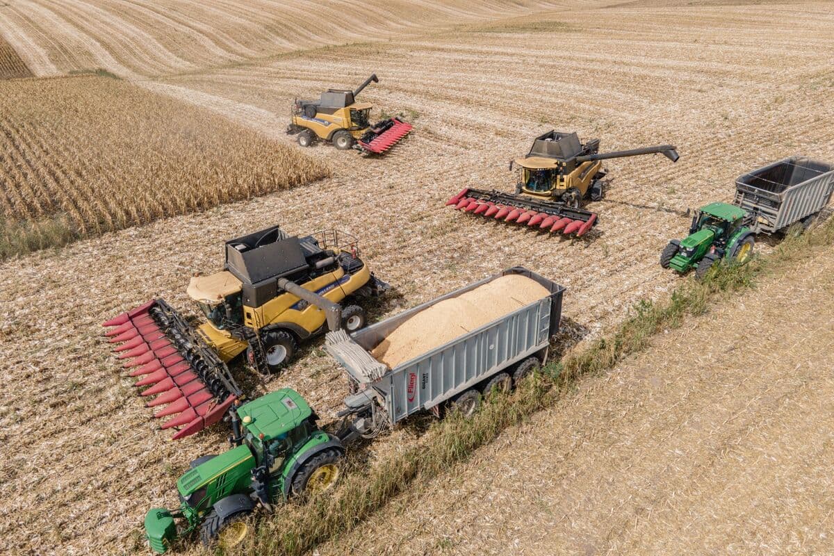 Hungary Warns of Drought Hit to Agriculture From April Dry Spell