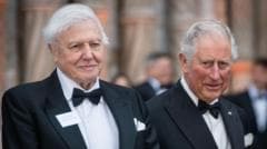 King and Queen lead tributes for David Attenborough's 100th birthday