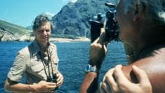 Ten of Attenborough's best documentaries and where to watch them