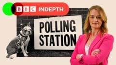 Winners, losers and a PM on the brink - what to expect in next week's elections