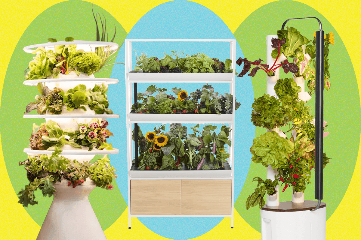 Best Indoor Garden Systems: I've Been Testing All Year (2026)